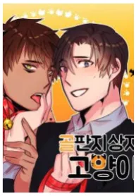 Cat in a Cardboard Box